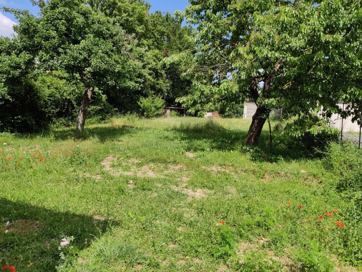 Studio Spacieux Tout Equipe Avec Jardin Varennes-Vauzelles Extérieur photo